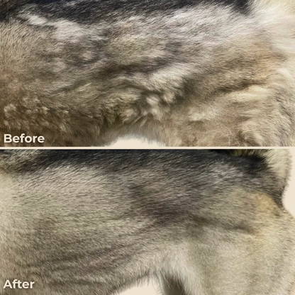 PawSpa Pro™ Kit