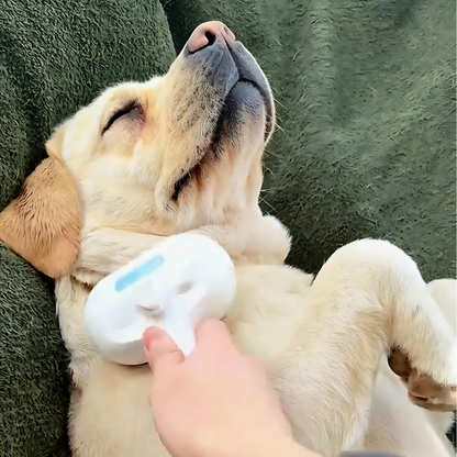 PawSpa Pro™ Kit